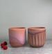 Набор из 2 стаканов для кофе Villeroy & Boch Perlemor Coral 290 мл розовый