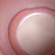 Набор из 2 стаканов для кофе Villeroy & Boch Perlemor Coral 290 мл розовый