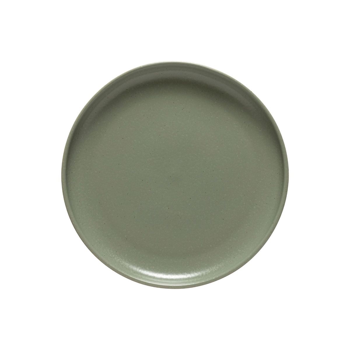 Тарелка обеденная Costa Nova Pacifica 27,5 см зеленая фото