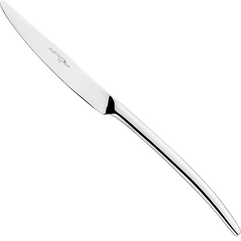 Набір з 4 столових ножів Eternum Alaska 22,6 см фото