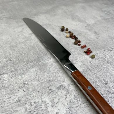 Набор из 4 столовых ножей Eternum Rustic 22,5 см фото