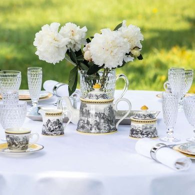 Чайник заварювальний Villeroy & Boch Audun 1 л фото