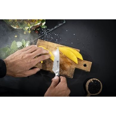 Ніж для очищення овочів та фруктів 10 см Zwilling Takumi фото