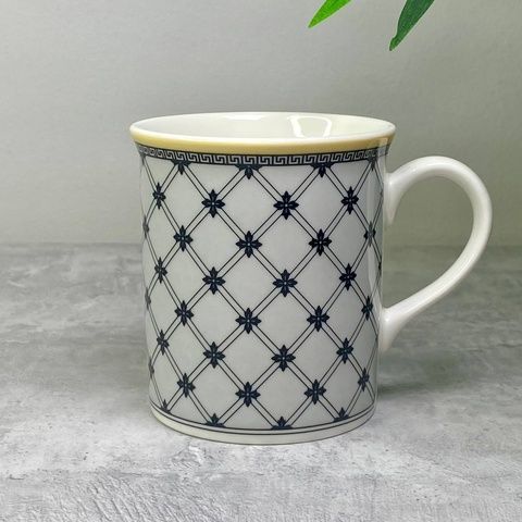 Чашка Villeroy & Boch Audun Promenade 250 мл фото