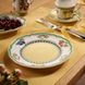 Тарелка для завтрака Villeroy & Boch French Garden Fleurence 21 см