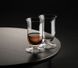 Набір із 2 келихів для віскі Riedel Sommeliers 200 мл