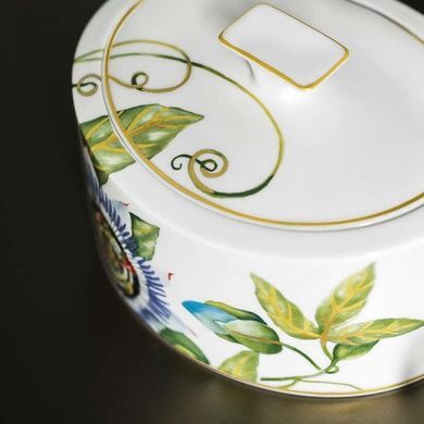 Емкость для хранения Villeroy & Boch Amazonia 750 мл фото