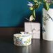 Емкость для хранения Villeroy & Boch Amazonia 750 мл
