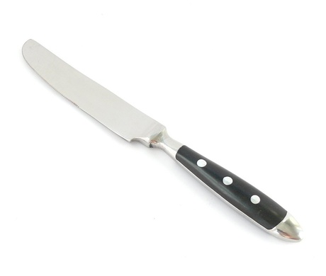 Набір з 4 столових ножів Eternum Doria 21,4 см фото