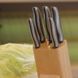 Набір ножів Berghoff Essentials 6 предметів в колоді