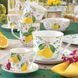 Чашка з блюдцем Easy Life Fleurs Et Citrons 370 мл