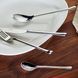 Набор из 24 столовых приборов Villeroy & Boch Udine на 6 персон