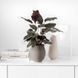 Ваза Villeroy & Boch Manufacture Rock 16,6х18 см