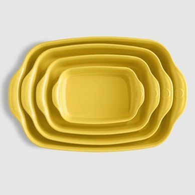 Форма для запекания Emile Henry Ovenware 22х14,5х5,5 см фото