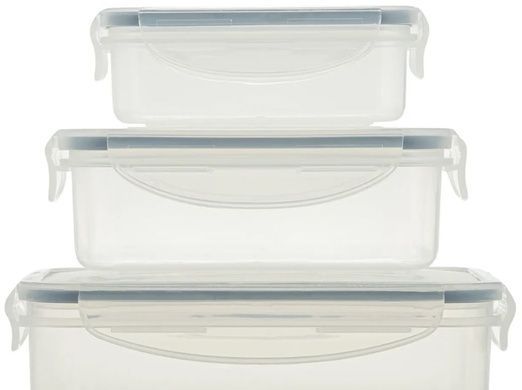 Набір із 3 контейнерів Tescoma Freshbox фото