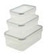 Набір із 3 контейнерів Tescoma Freshbox