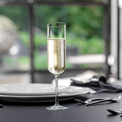 Набір із 4 келихів для шампанського 170 мл Villeroy & Boch Bicchieri Newmoon фото