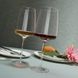Набір келихів для вина Schott Zwiesel Vivid Senses Fruity & Delicate 535 мл, 2 шт