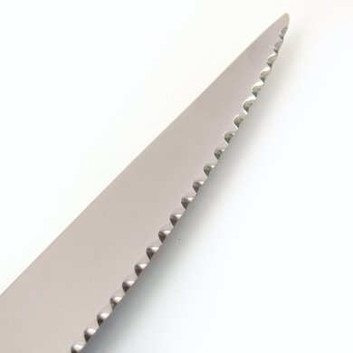 Набір з 4 ножів для стейка Eternum Arcade 23,8 см фото