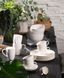 Блюдце Villeroy & Boch Basic White Vivo 14,8 см