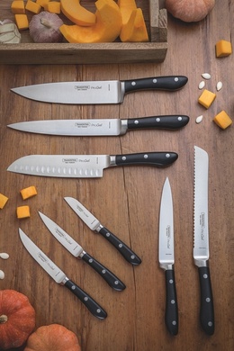 Нож универсальный 15,2 см Tramontina Prochef фото