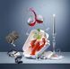 Келих для червоного вина Villeroy & Boch Purismo Wine 550 мл
