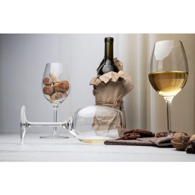 Набір з 4 келихів для білого вина 300 мл Schott Zwiesel For You фото