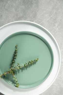Тарілка обідня Dovbysh Porcelain NOVA Green 26,5 см зелена фото