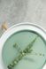 Тарілка обідня Dovbysh Porcelain NOVA Green 26,5 см зелена
