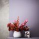 Ваза Rosenthal Droplets Weiss 16 см