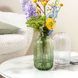 Ваза Villeroy & Boch Fleur 19 см прозрачная (1173360950)