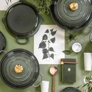 Кастрюля Le Creuset Evolution 6,7 л Thyme фото