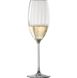 Набор из 2 бокалов для шампанского 288 мл Schott Zwiesel Prizma
