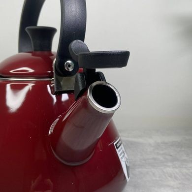 Чайник Le Creuset Kone 1,6 л Rhone фото