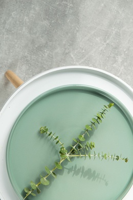 Тарілка обідня Dovbysh Porcelain NOVA Green 27 см зелена фото