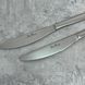 Набор из 4 столовых ножей Pintinox Synthesis Mystique 22,5 см