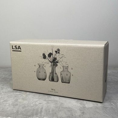 Набір із 3 ваз LSA International Mia 10,8 см фото