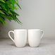 Набір із 2 чашок для чаю Villeroy & Boch For Me 280 мл