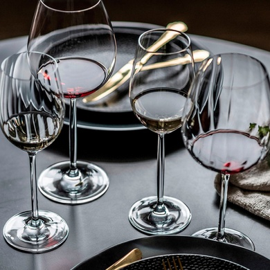 Набір із 6 келихів для червоного вина 561 мл Schott Zwiesel Prizma фото