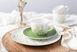 Столовий сервіз Seltmann Meadow Grasses Green 18 предметів 6 персон