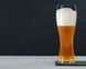 Набор из 2 стаканов для пива Spiegelau Beer Classics 700 мл