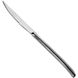 Набір з 4 ножів для стейка Eternum X-Lo 24,4 см