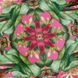 Тарелка десертная Wedgwood Wonderlust Pink Lotus 20 см круглая