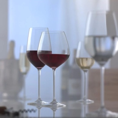 Набор из 6 бокалов для красного вина 505 мл Schott Zwiesel Fortissimo фото