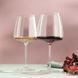 Набір келихів для вина Schott Zwiesel Vivid Senses Velvety & Sumptuous 710 мл, 2 шт