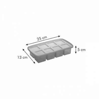 Форма для льоду Tescoma myDRINK 25х13х5 см кубики XXL фото