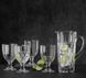 Набор из 5 предметов для напитков Nachtmann Aspen с бокалами