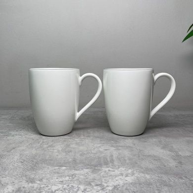 Набор из 2 чашек Villeroy & Boch Anmut Platinum №1 350 мл фото