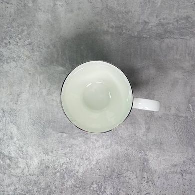 Набор из 2 чашек Villeroy & Boch Anmut Platinum №1 350 мл фото