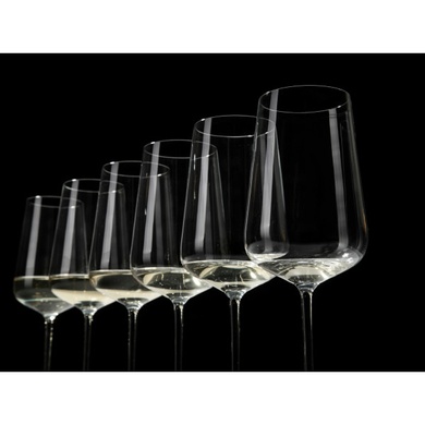 Набір із 6 келихів для білого вина 487 мл Schott Zwiesel Restauran Vervino фото
